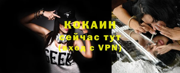 дурь Гусиноозёрск
