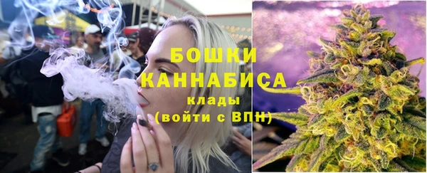 дурь Гусиноозёрск