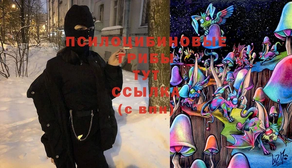 дурь Гусиноозёрск