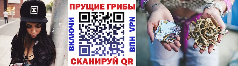 где купить наркоту  Лысьва  Псилоцибиновые грибы мицелий 