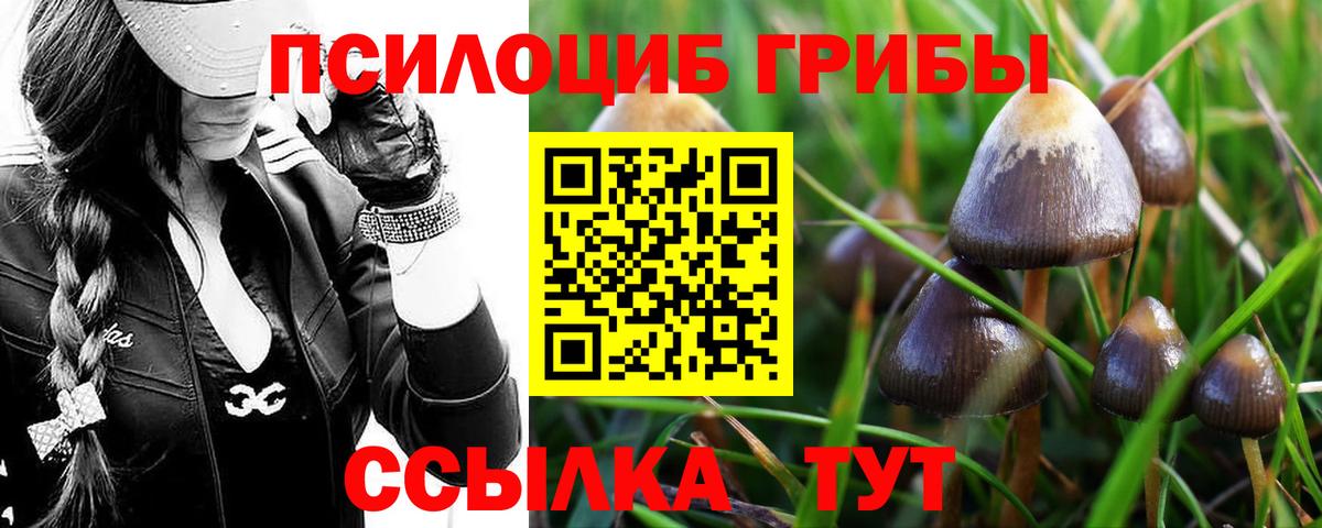 Лысьва  Псилоцибиновые грибы Magic Shrooms  Вход с VPN 