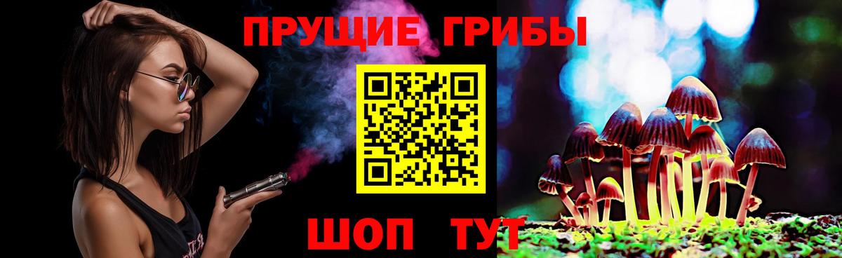 Псилоцибиновые грибы Psilocybe Лысьва